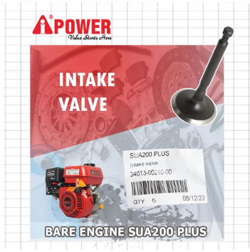 INTAKE VALVE